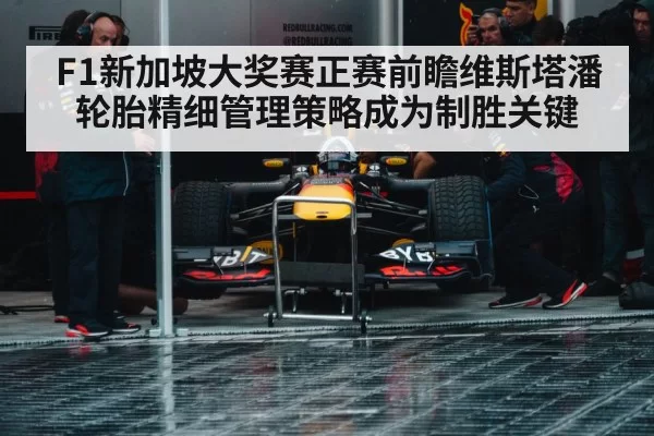 Max Verstappen Red Bull