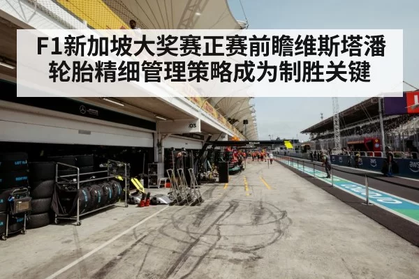 Formula 1 tire strategy